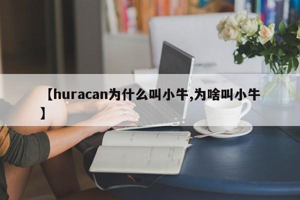【huracan为什么叫小牛,为啥叫小牛】